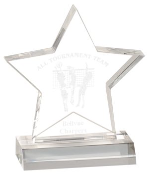 Star Acrylic Award