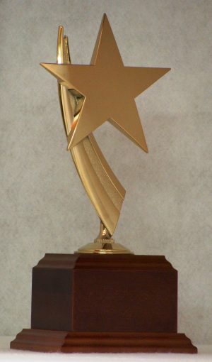 Modern Star Casting on Wood Base