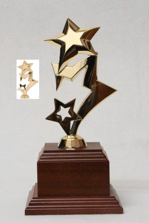 Rising Metal Star Mounted on Wood Base (Available in Gold or Silver)