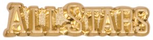Chenille Lapel Pins