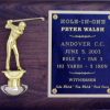 Presentation Pedestal PLAQUES (9x12 size) - Image 2