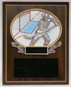 3D Full Color Oval Resin Plaque