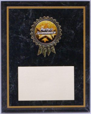 Insert Emblem Recognition Plaque