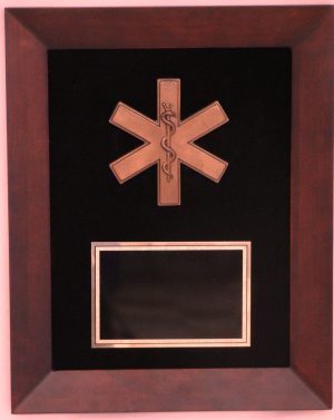 EMS Cross of Life Casting FRAME