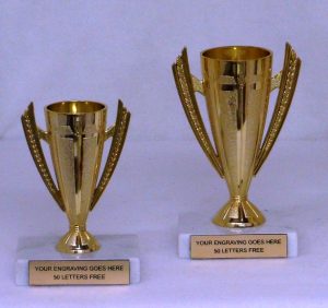 OPEN PLASTIC LOVING CUP