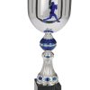 Sport Champion Cup - Image 5