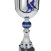 Sport Champion Cup - Image 6