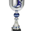 Sport Champion Cup - Image 2