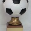 Large Sport Resin on Wood Base - Image 2